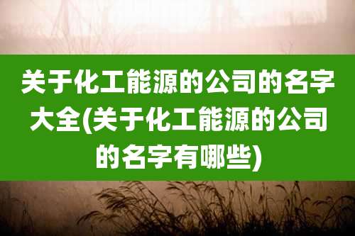 关于化工能源的公司的名字大全(关于化工能源的公司的名字有哪些)