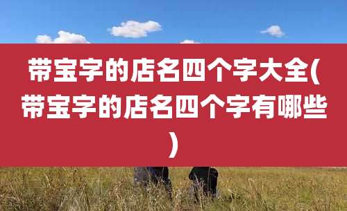 带宝字的店名四个字大全(带宝字的店名四个字有哪些)