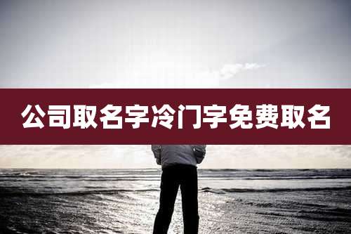 公司取名字冷门字免费取名