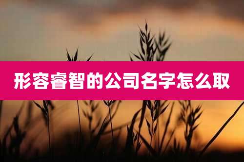 形容睿智的公司名字怎么取