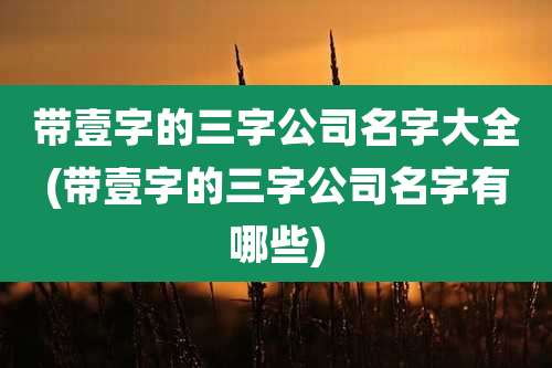 带壹字的三字公司名字大全(带壹字的三字公司名字有哪些)