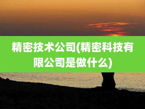 精密技术公司(精密科技有限公司是做什么)