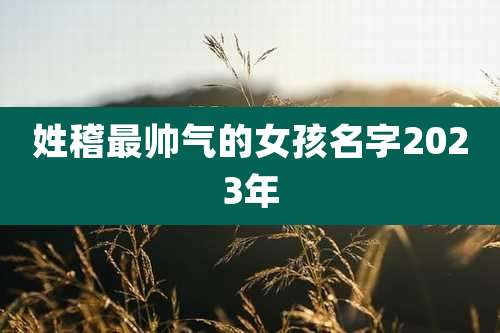 姓稽最帅气的女孩名字2023年