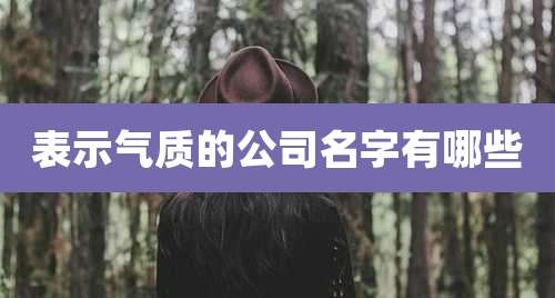 表示气质的公司名字有哪些