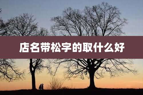 店名带松字的取什么好