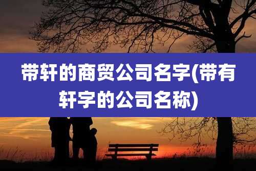 带轩的商贸公司名字(带有轩字的公司名称)