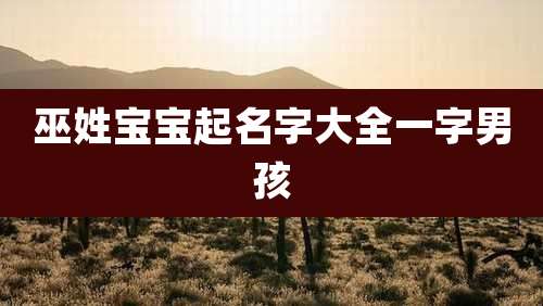 巫姓宝宝起名字大全一字男孩