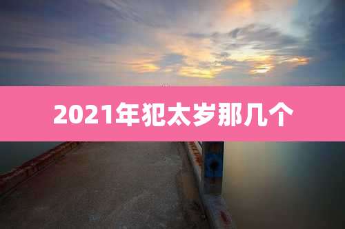2021年犯太岁那几个