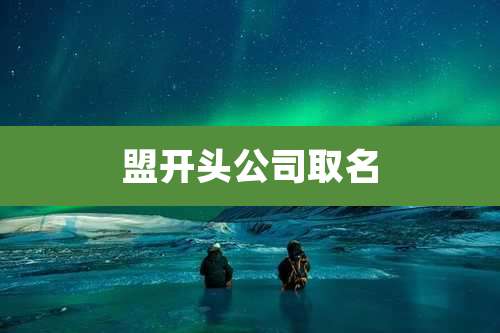 盟开头公司取名