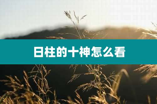 日柱的十神怎么看