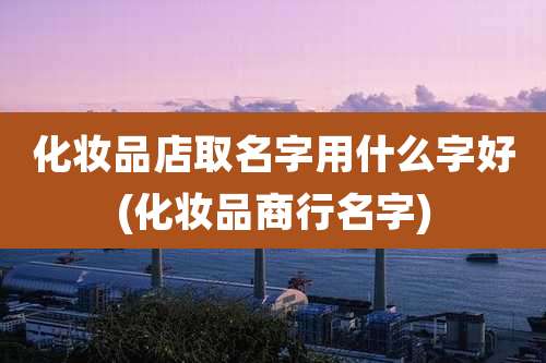 化妆品店取名字用什么字好(化妆品商行名字)