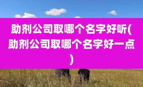 助剂公司取哪个名字好听(助剂公司取哪个名字好一点)