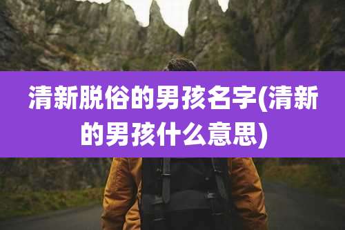 清新脱俗的男孩名字(清新的男孩什么意思)