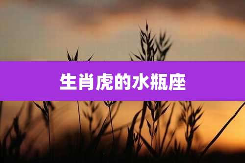 生肖虎的水瓶座