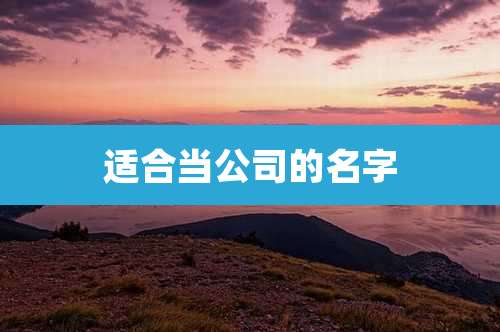 适合当公司的名字