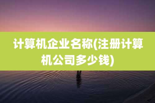 计算机企业名称(注册计算机公司多少钱)