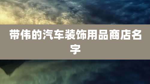带伟的汽车装饰用品商店名字
