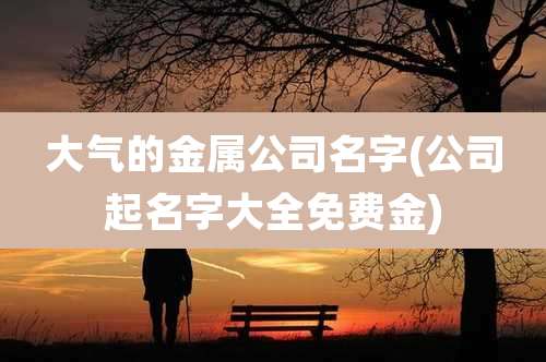 大气的金属公司名字(公司起名字大全免费金)