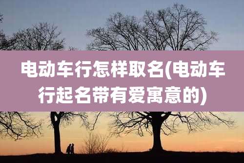 电动车行怎样取名(电动车行起名带有爱寓意的)