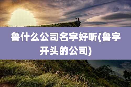 鲁什么公司名字好听(鲁字开头的公司)
