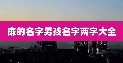 廉的名字男孩名字两字大全