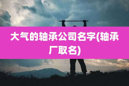 大气的轴承公司名字(轴承厂取名)