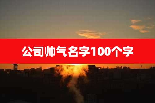 公司帅气名字100个字