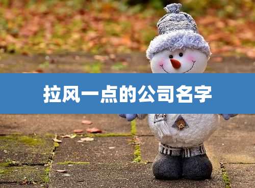 拉风一点的公司名字