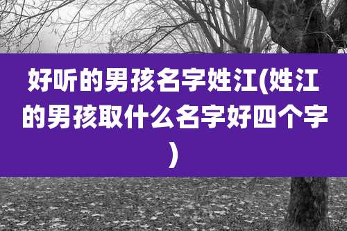 好听的男孩名字姓江(姓江的男孩取什么名字好四个字)