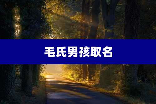 毛氏男孩取名