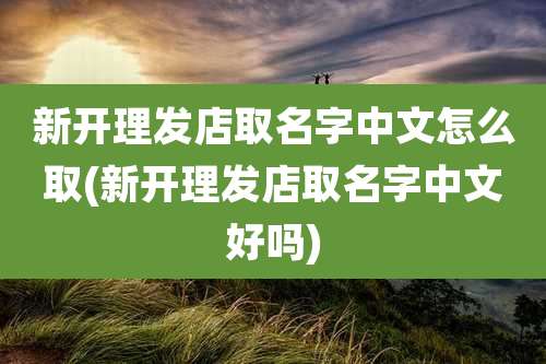新开理发店取名字中文怎么取(新开理发店取名字中文好吗)