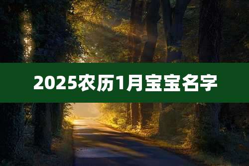 2025农历1月宝宝名字