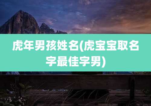 虎年男孩姓名(虎宝宝取名字最佳字男)