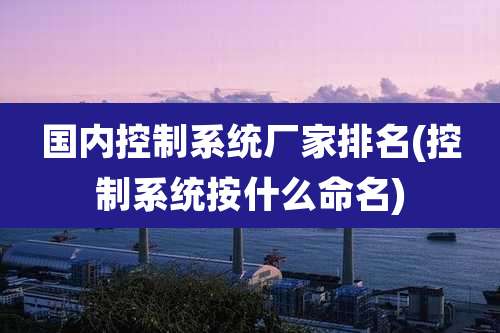 国内控制系统厂家排名(控制系统按什么命名)