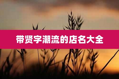 带贤字潮流的店名大全