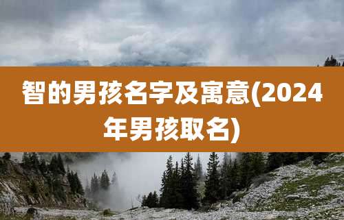 智的男孩名字及寓意(2024年男孩取名)