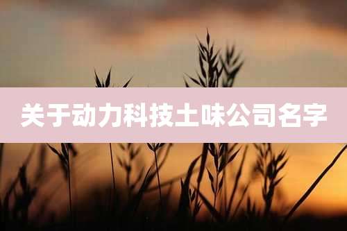 关于动力科技土味公司名字