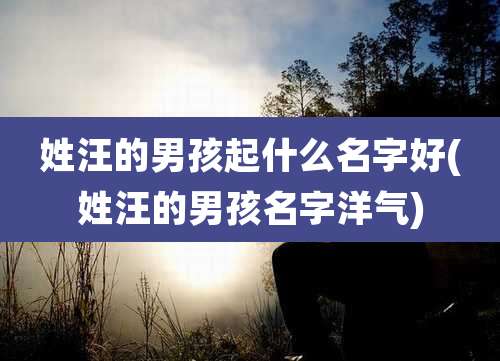 姓汪的男孩起什么名字好(姓汪的男孩名字洋气)