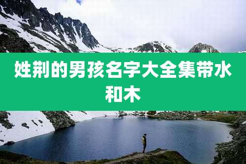 姓荆的男孩名字大全集带水和木