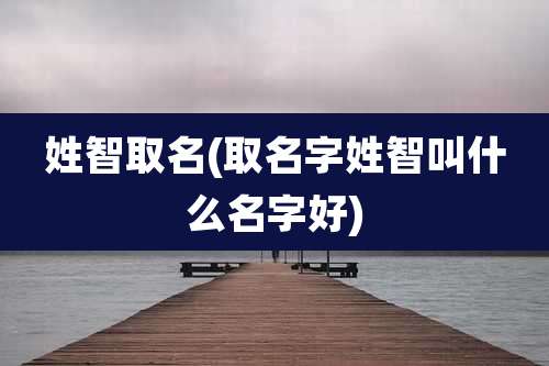 姓智取名(取名字姓智叫什么名字好)