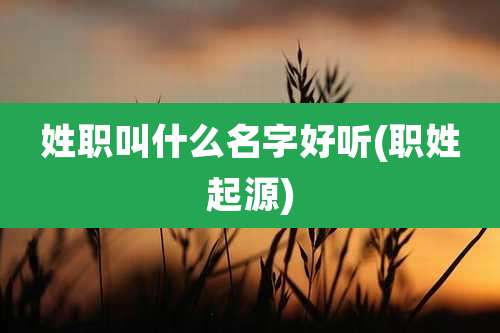 姓职叫什么名字好听(职姓起源)