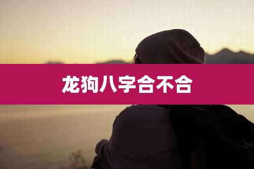 龙狗八字合不合