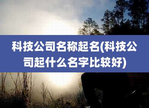科技公司名称起名(科技公司起什么名字比较好)