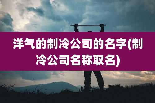 洋气的制冷公司的名字(制冷公司名称取名)