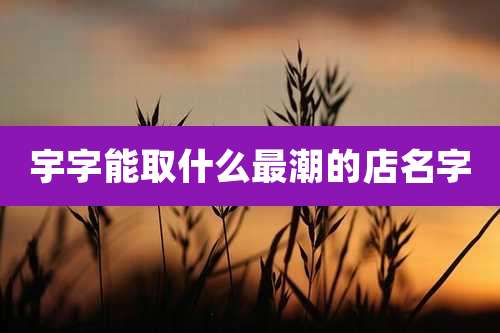 宇字能取什么最潮的店名字