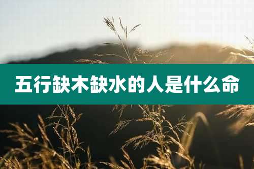 五行缺木缺水的人是什么命