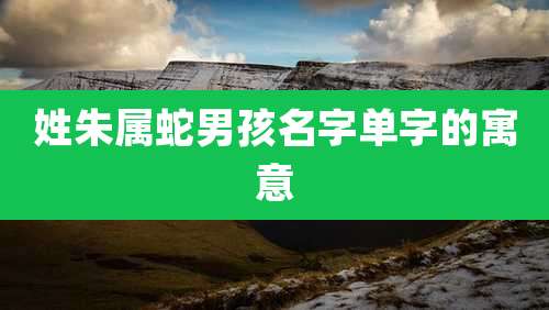 姓朱属蛇男孩名字单字的寓意