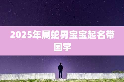 2025年属蛇男宝宝起名带国字