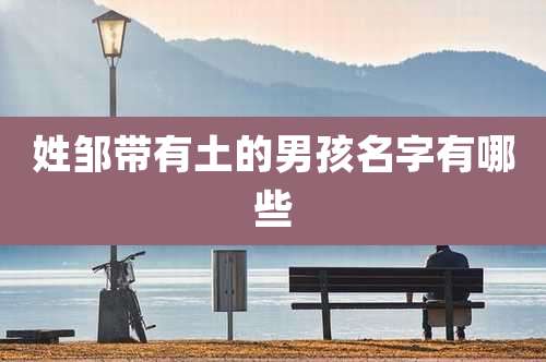 姓邹带有土的男孩名字有哪些