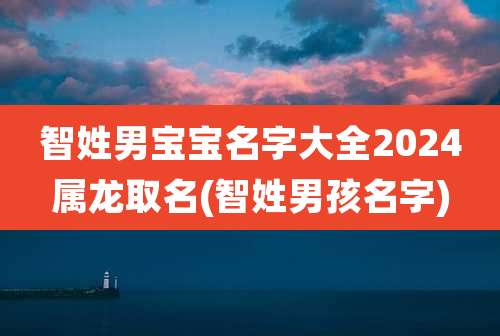 智姓男宝宝名字大全2024属龙取名(智姓男孩名字)